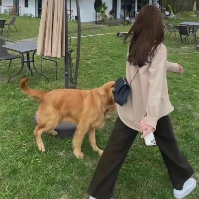 命运解剖师